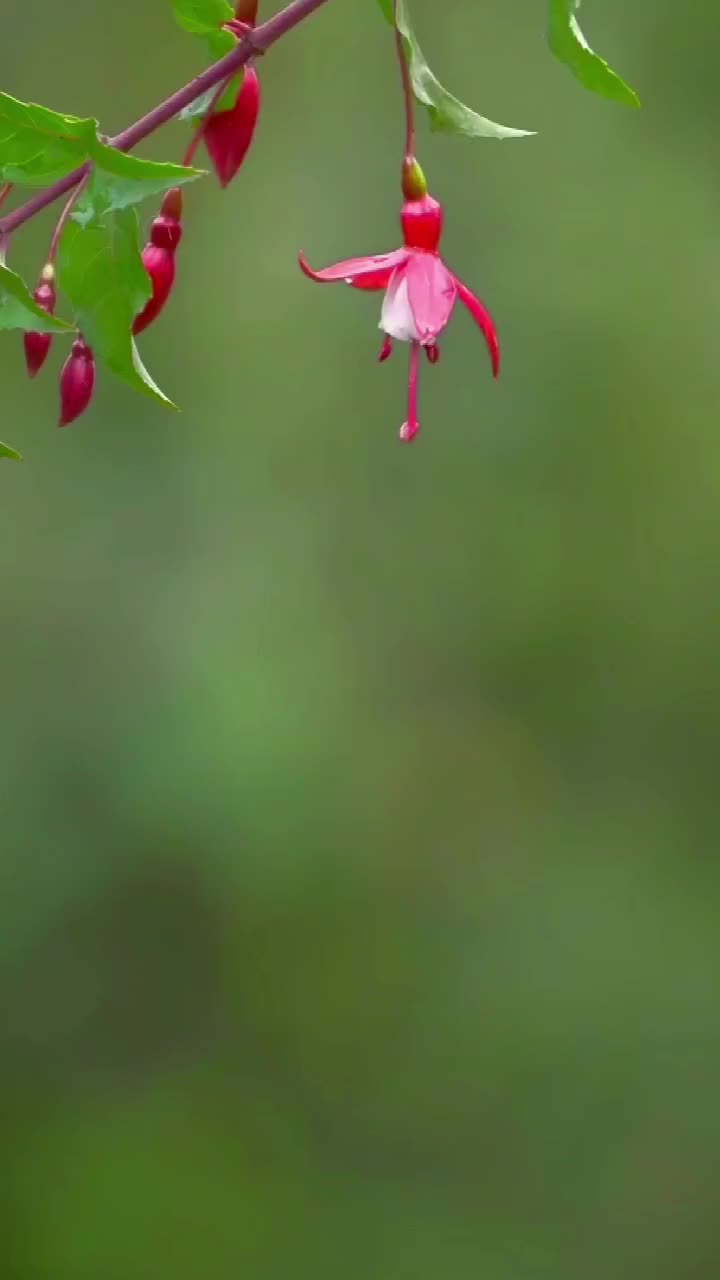 @𝐀¹᭄𝐖𝐀𝐋𝐈࿐¹⁴³