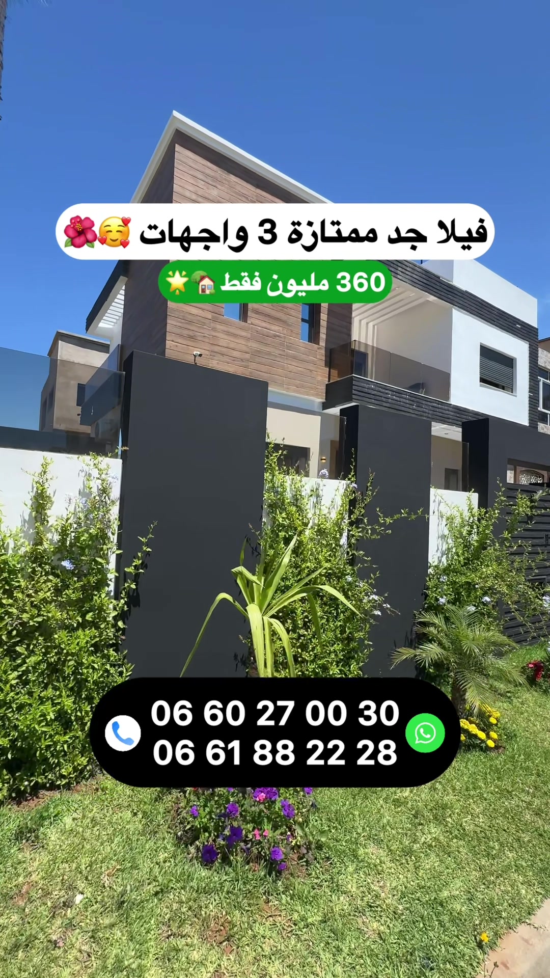 @Zakaria Haddad 🇲🇦🇵🇸