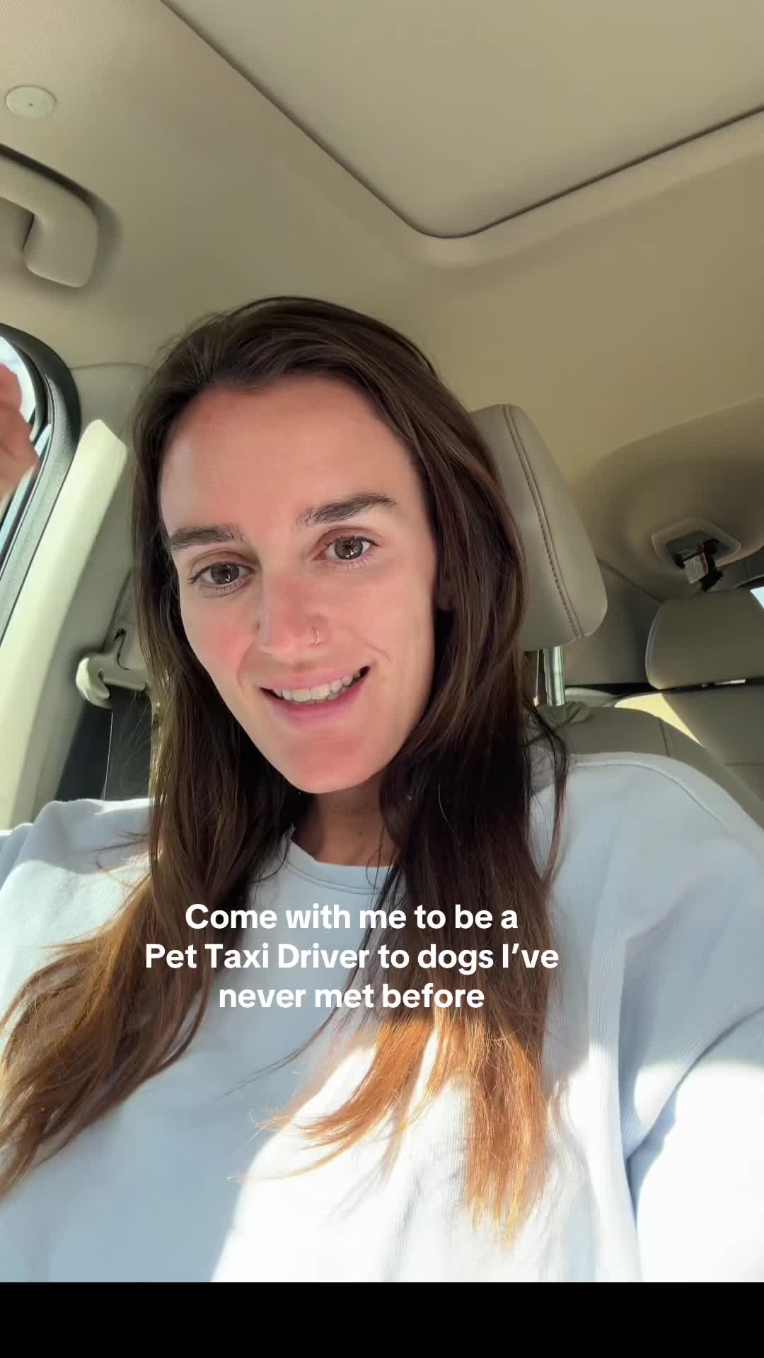 @dallasdogwalker