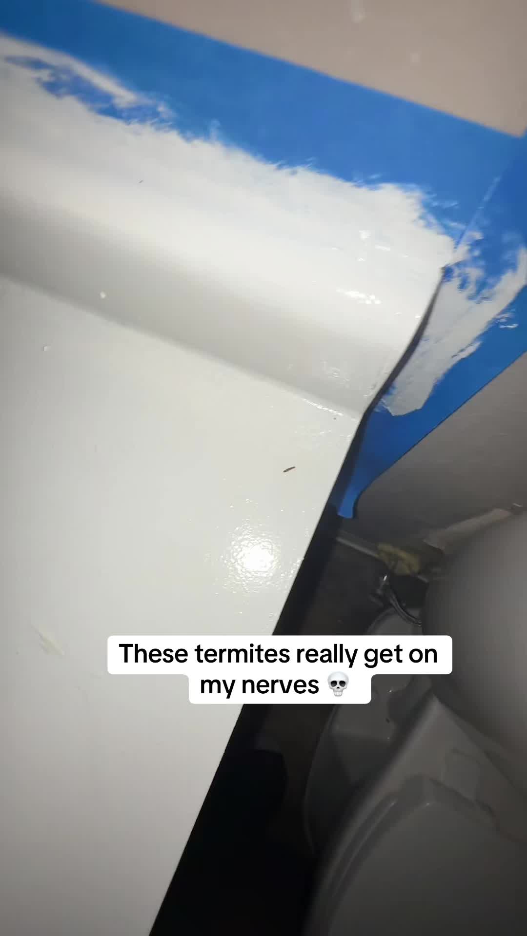 @TheCoolDelo