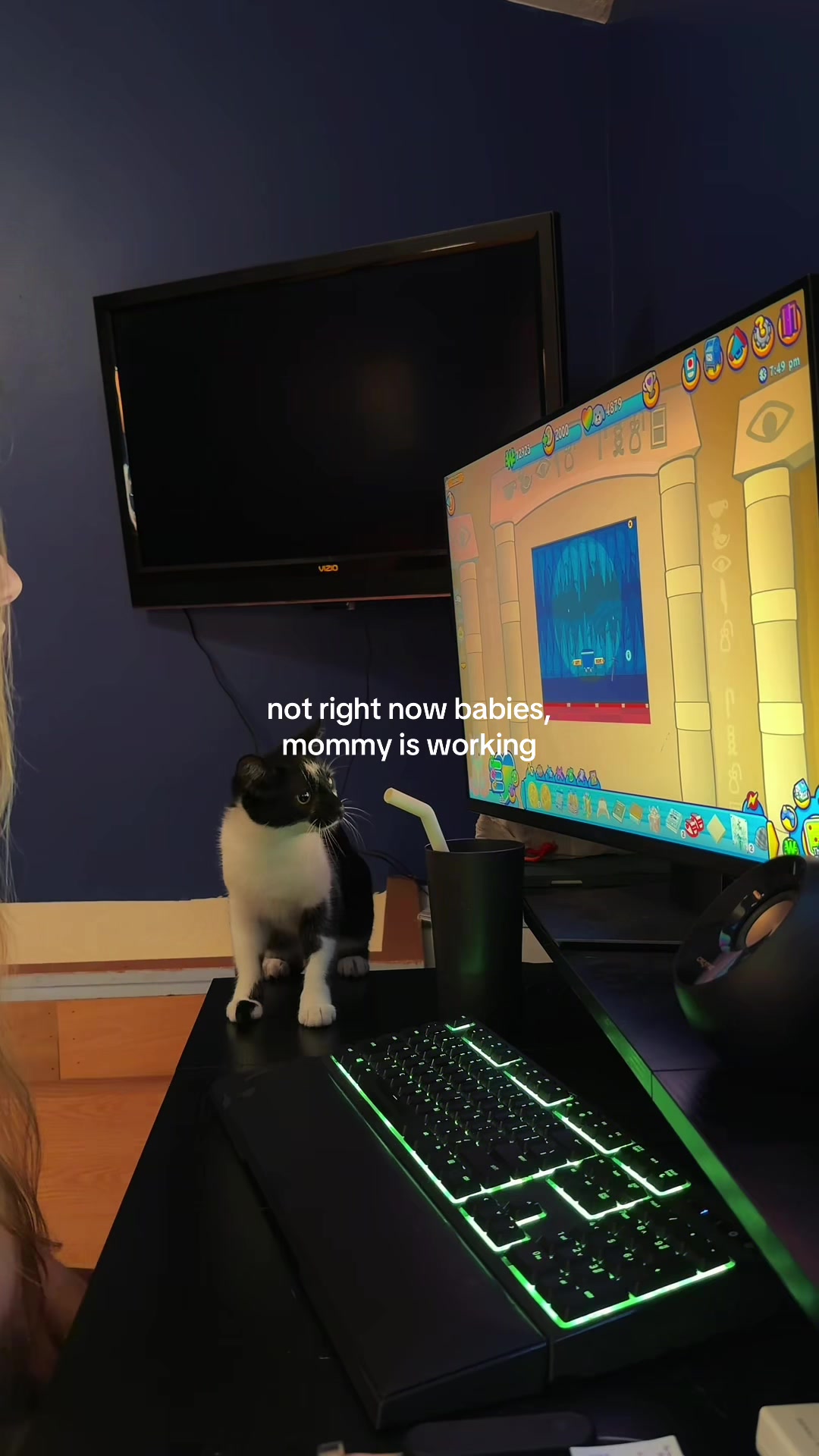 @bink the big orange cat
