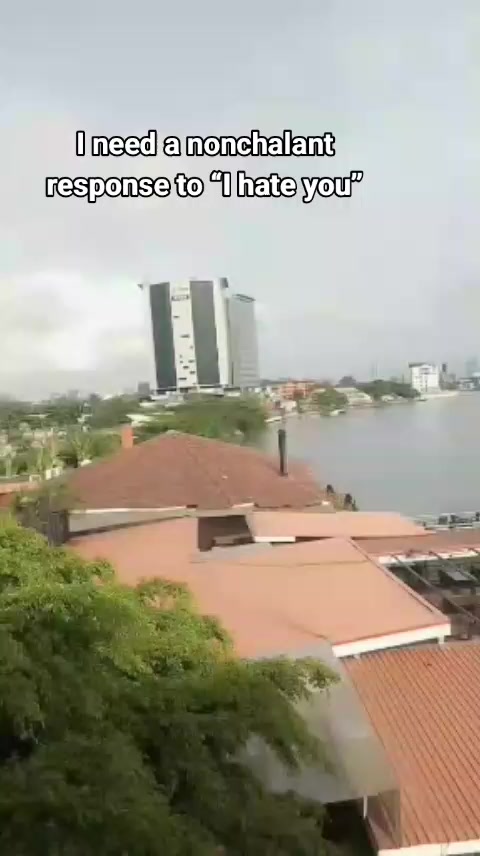@ChimaLeesky