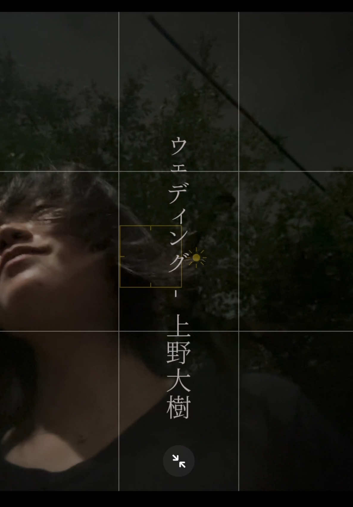 @岡田蔦