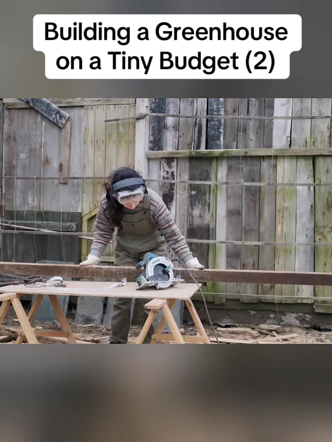 @Animals in nature