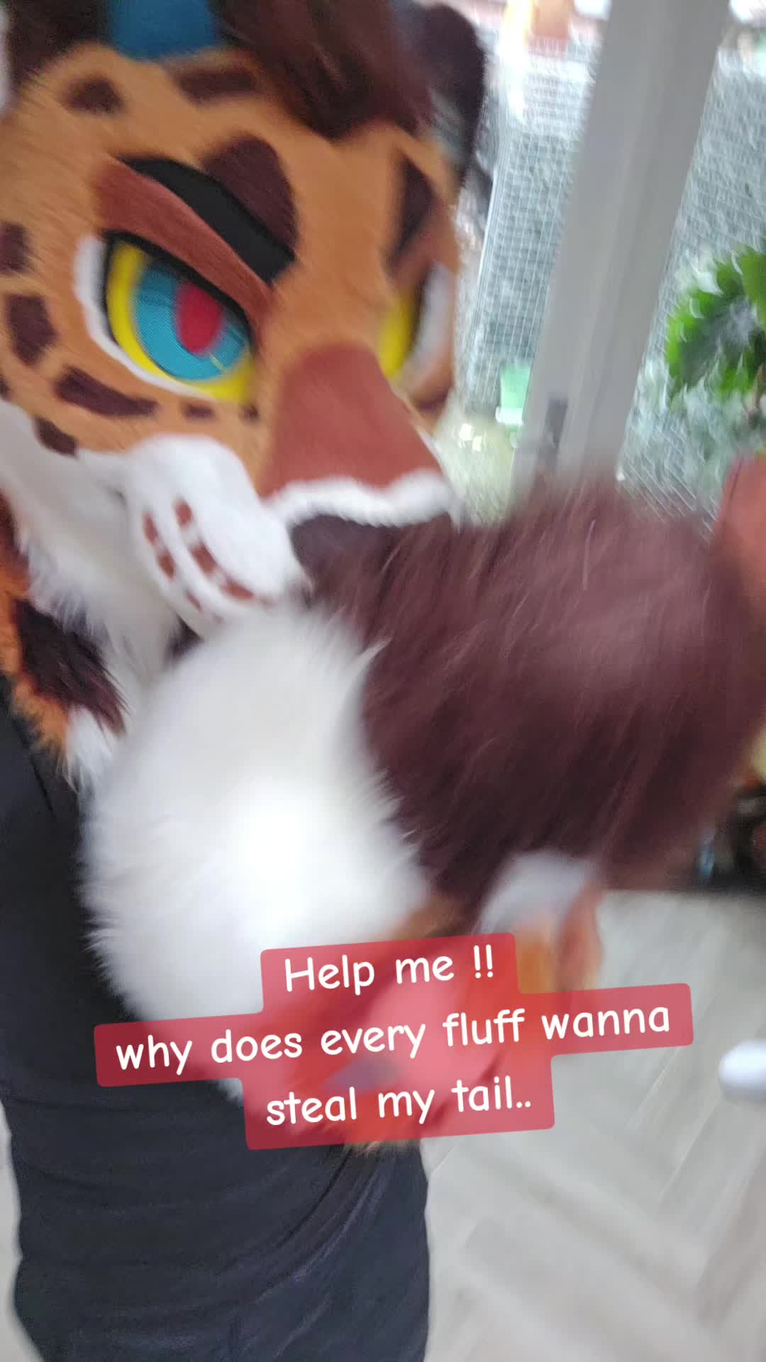 @Cookie the Draguar