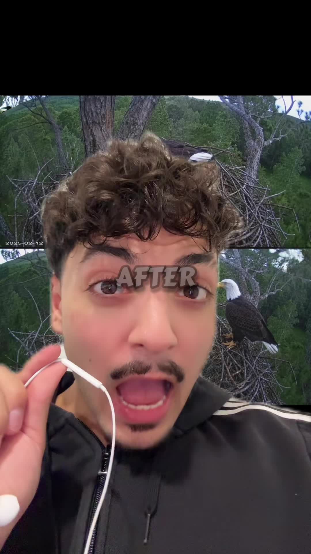 @Sbladn