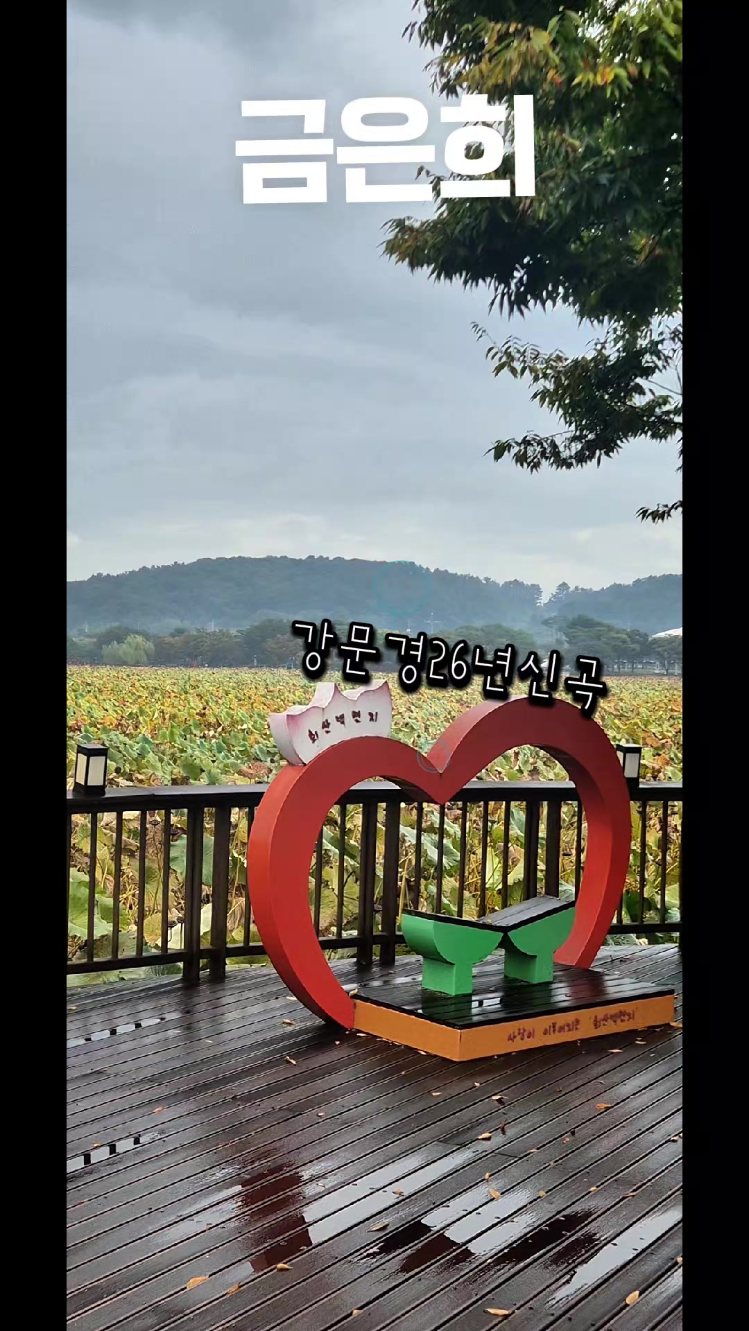 @금은희