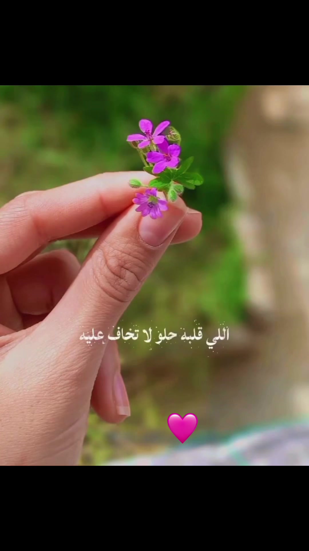 @Roza Issa