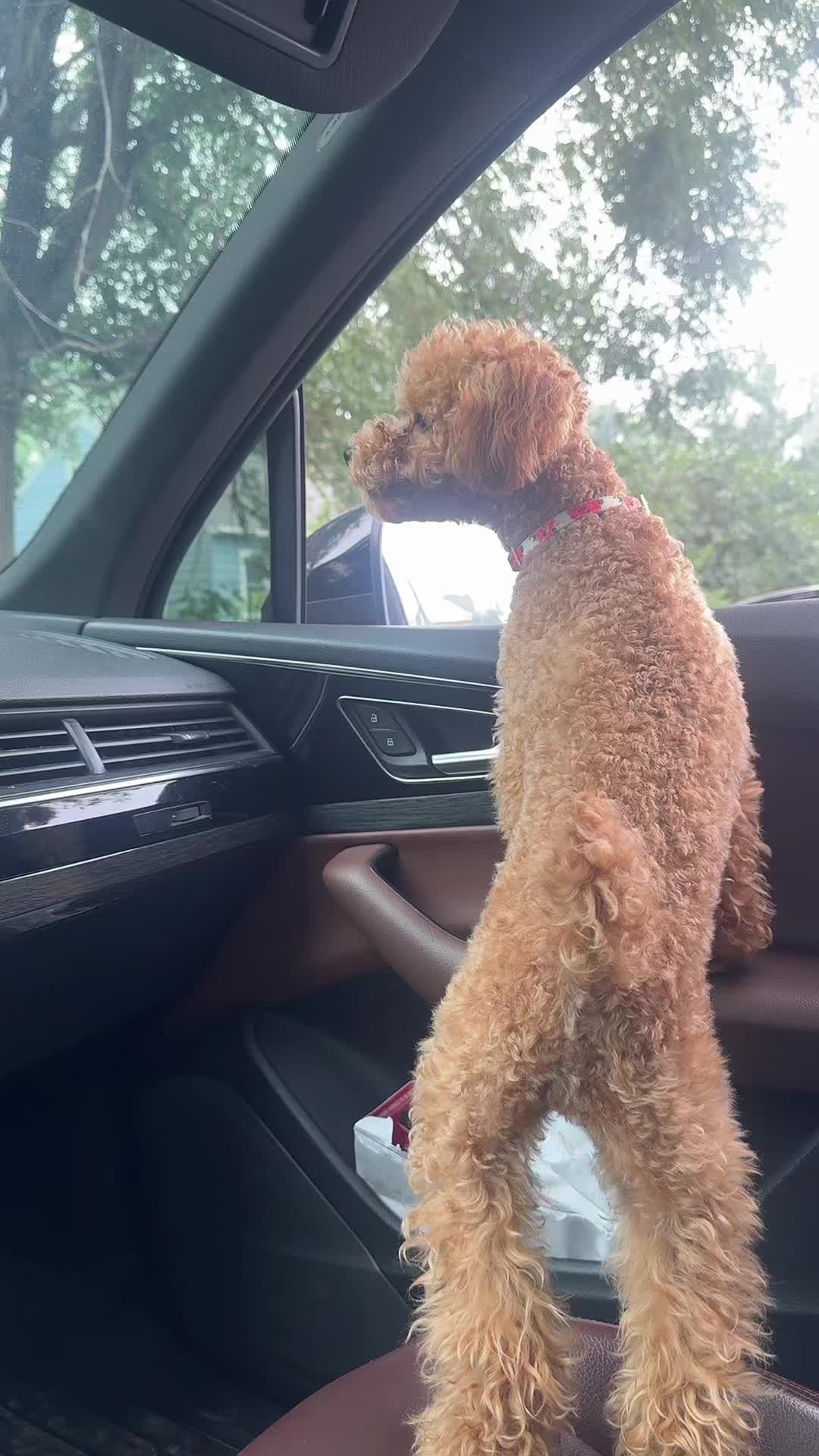 @packwalkdiaries