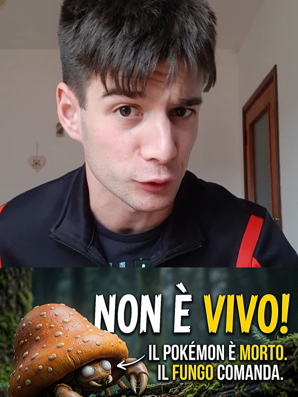 @nikoggs