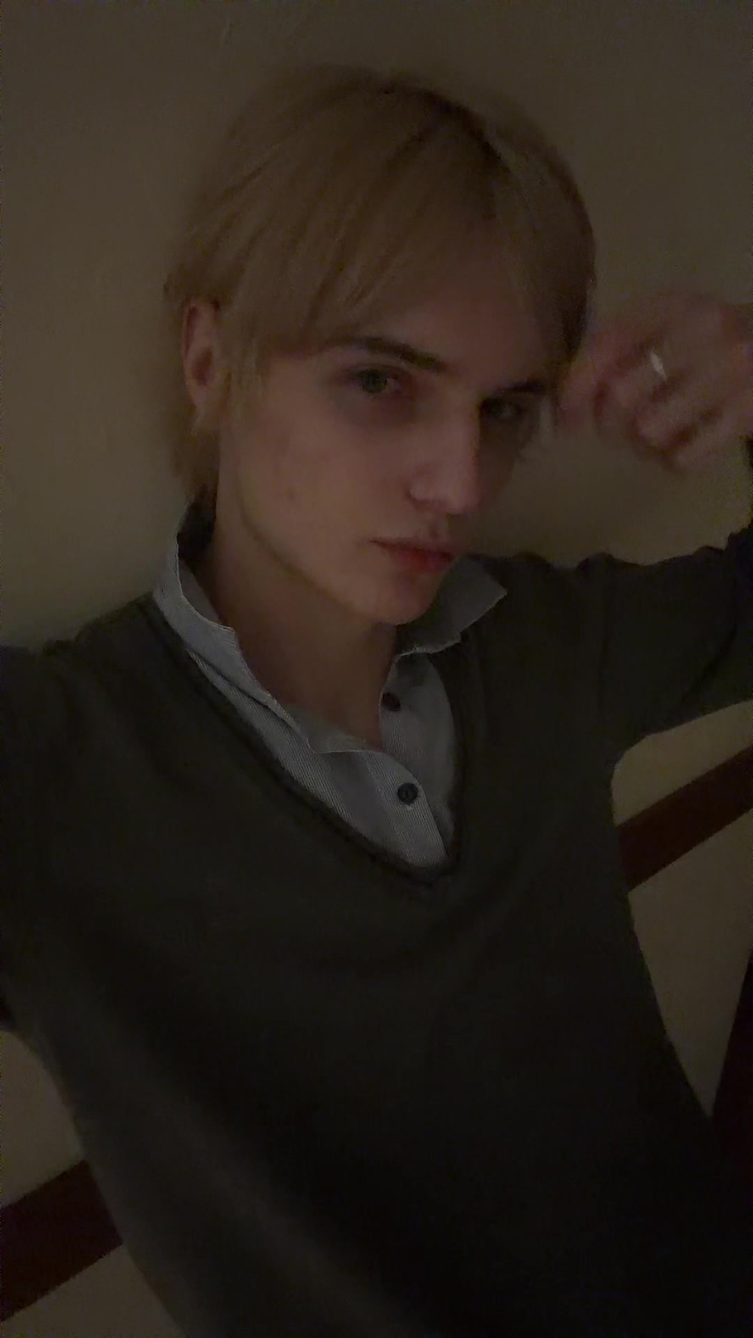 @миш дигримис