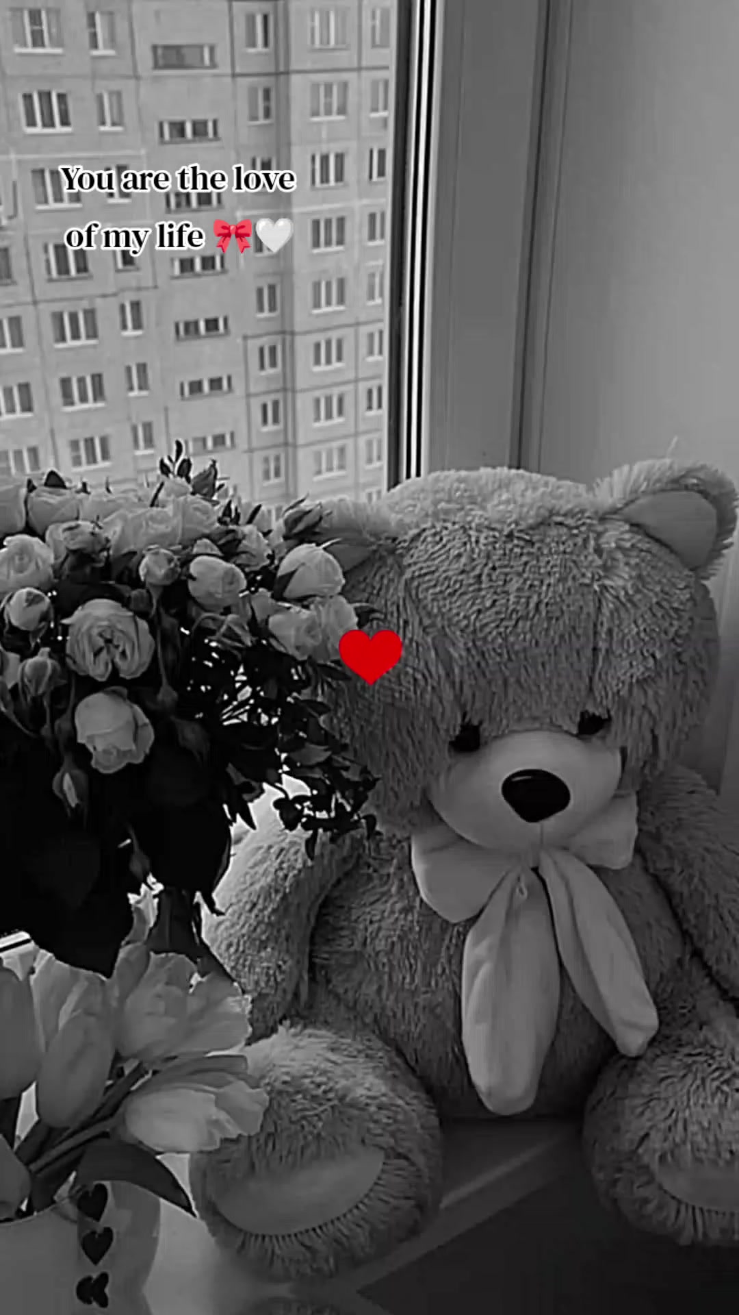 @Love Zone🌹