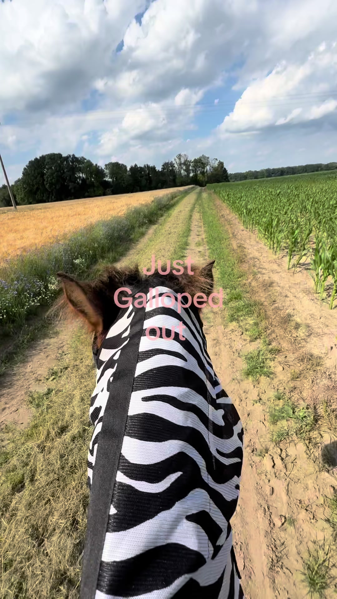 @𝖬𝖺𝗒𝖺 ❦