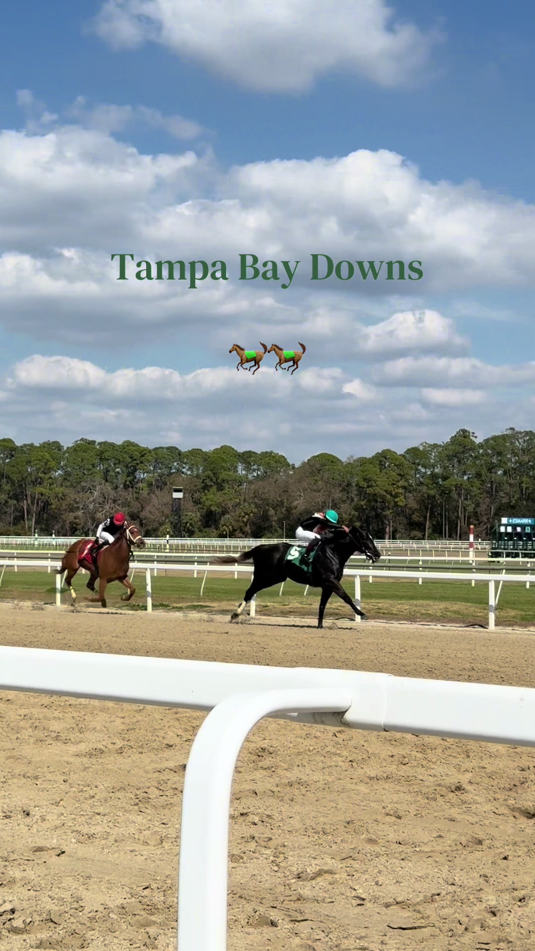 @gonzalezracingstables