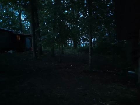 @Melanie✨ TN🧡 Homestead🏴