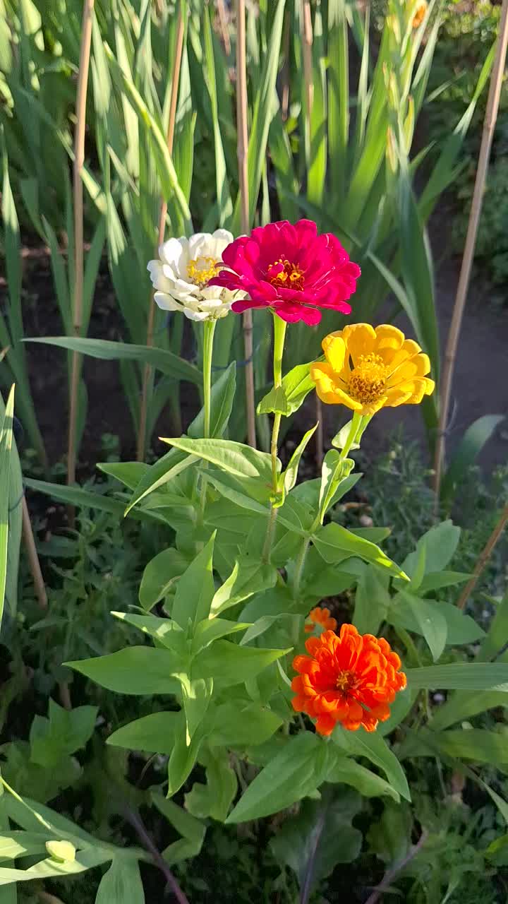 @Natur und Garten