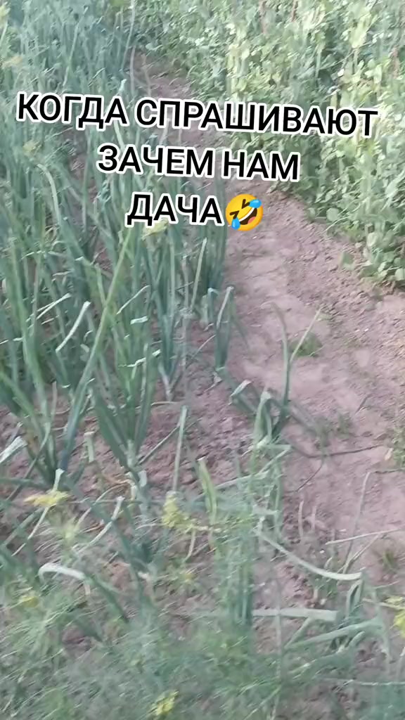 @Алеська💋🤗