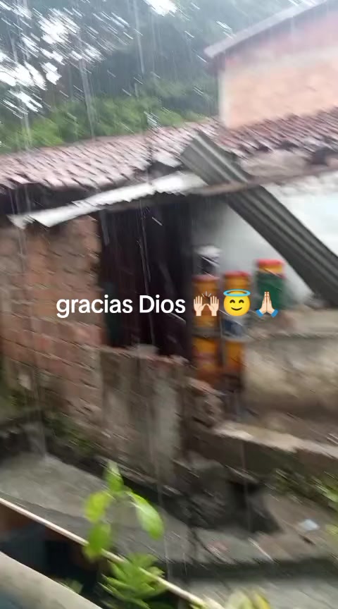 @Liz Aragón 😻😻