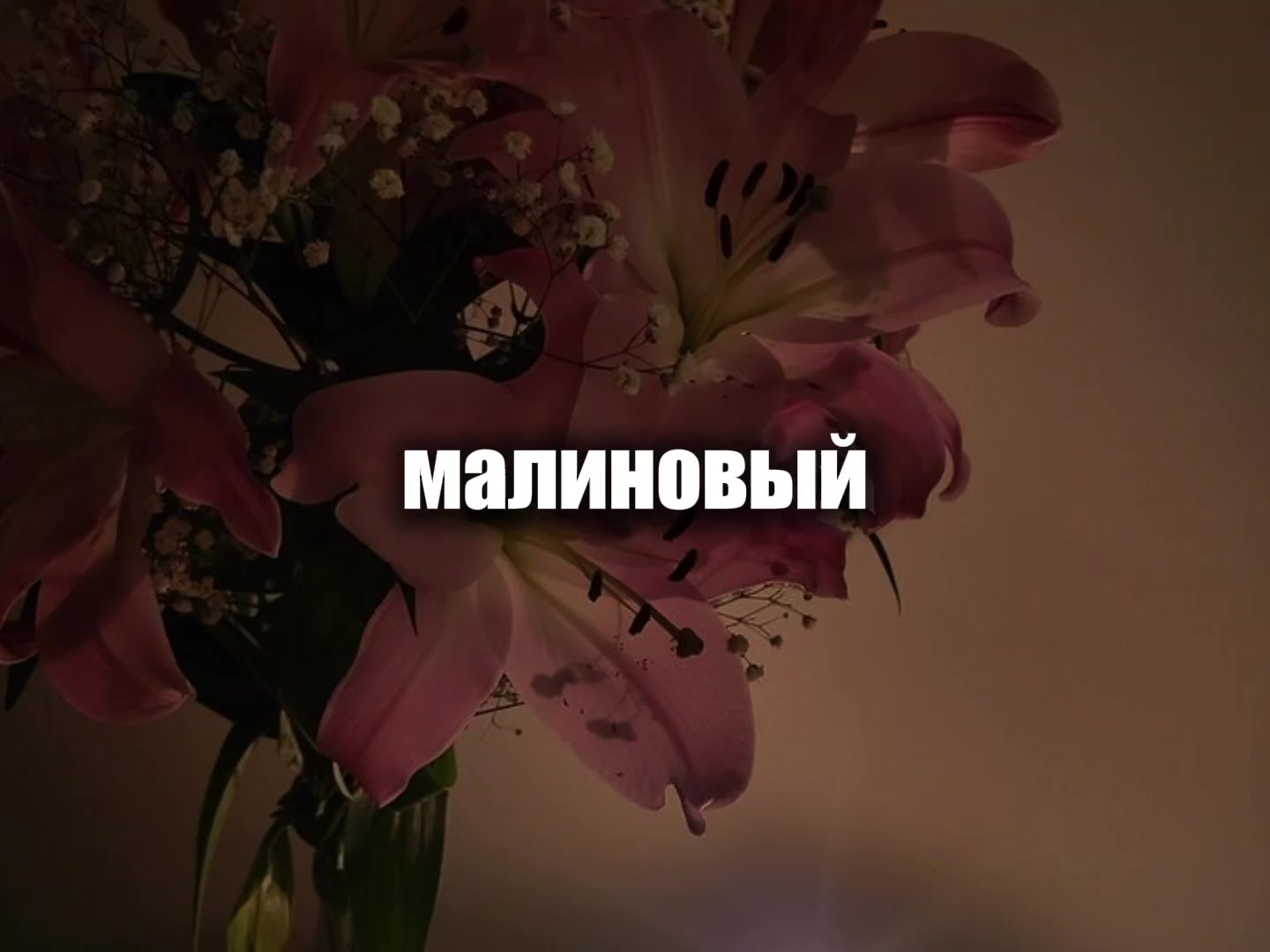 @музыка для липсингов
