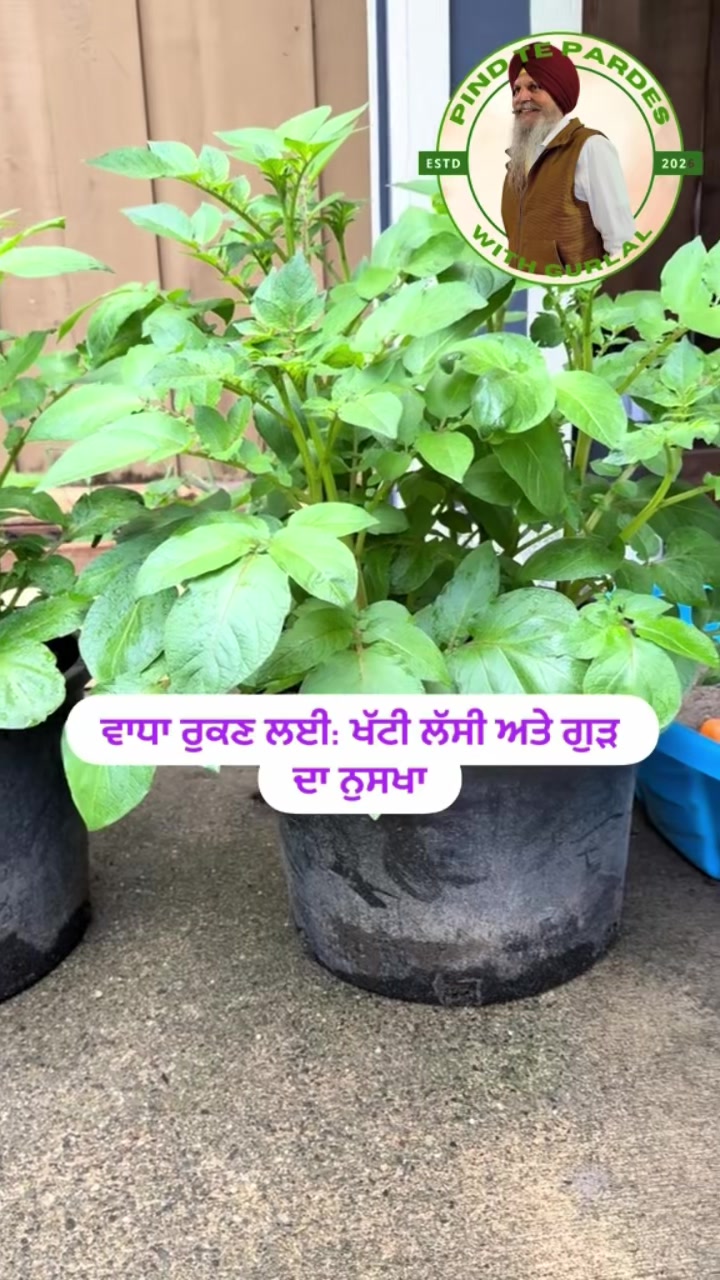 @Bkkang