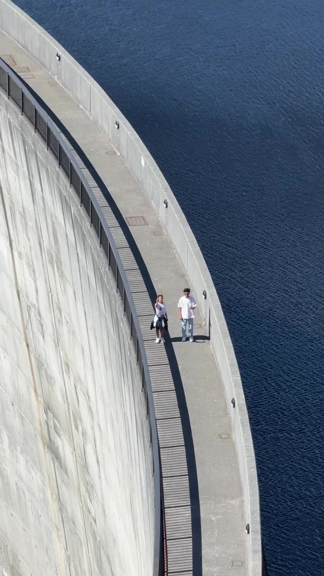 @TheanthophileSR🌸