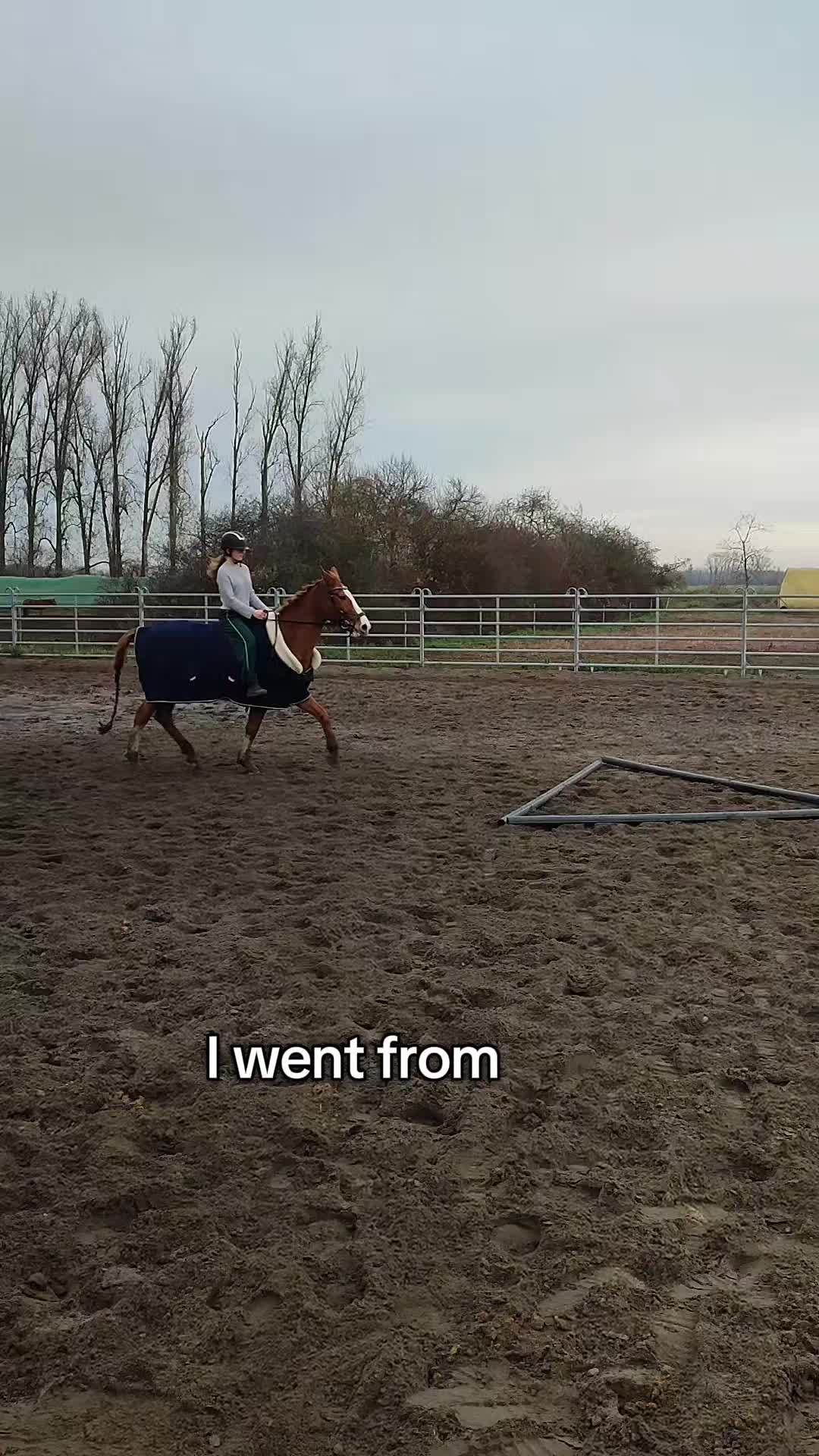 @Horses 🫶🌺