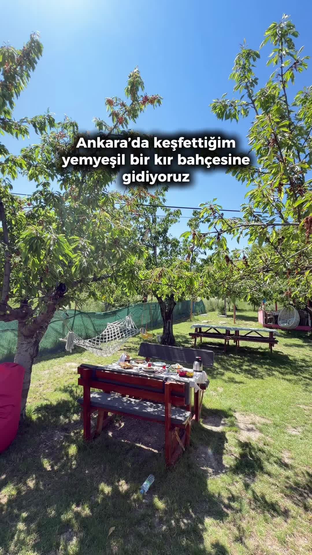 @Ankara Yemek Alışveriş Mekan