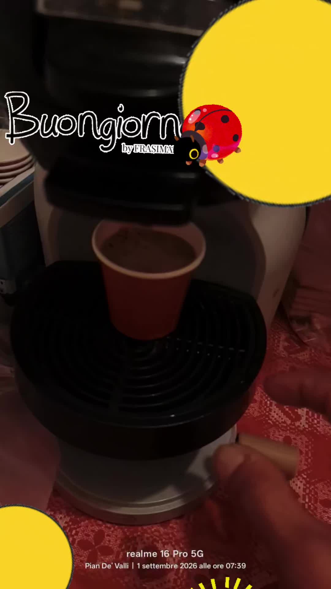 @Pidocrea🐞