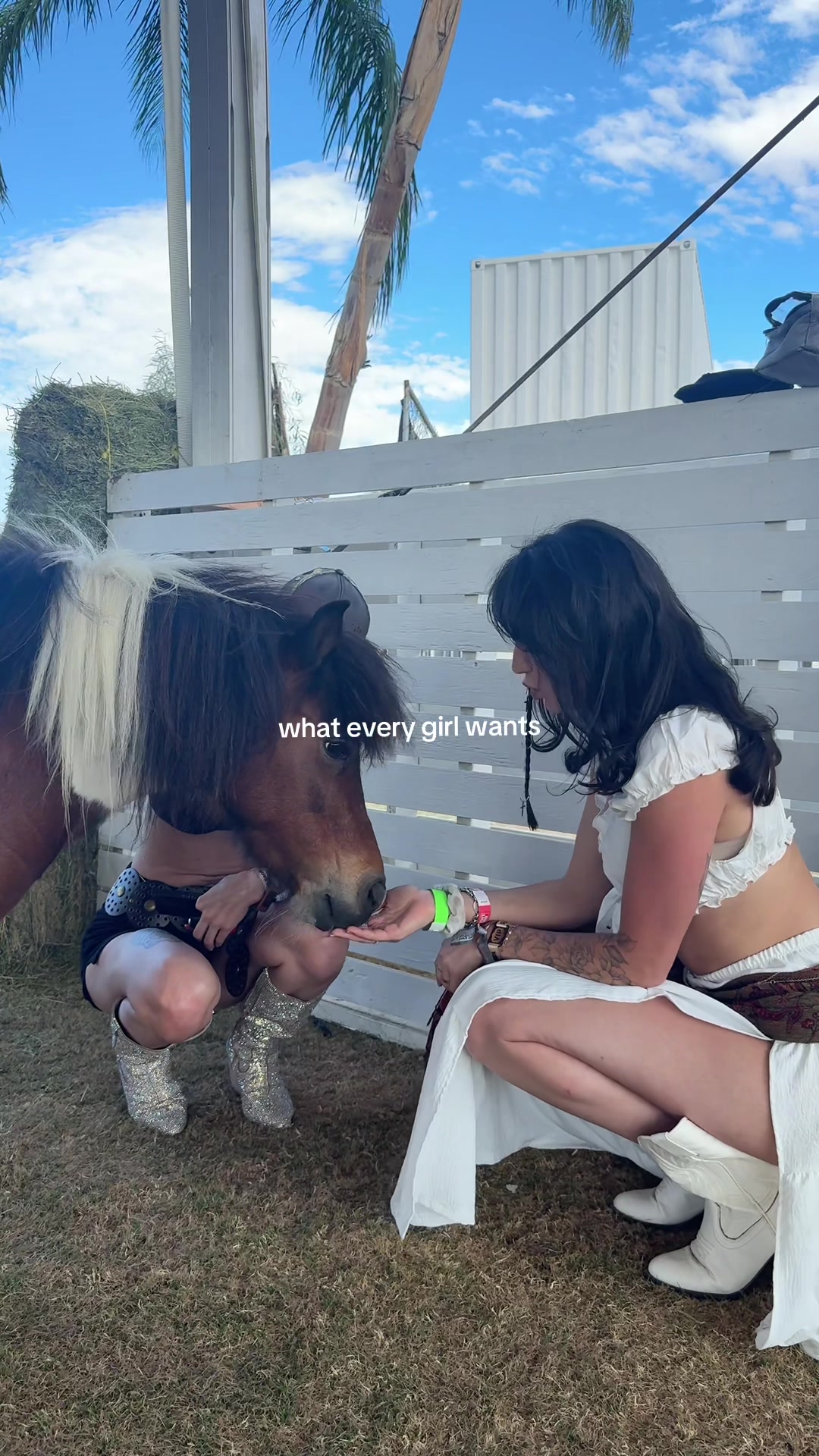 @courtferris