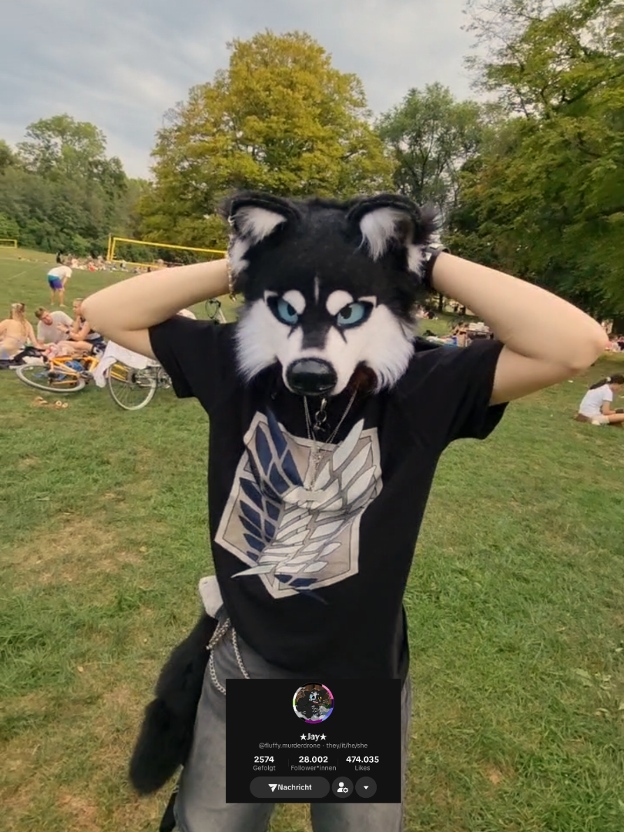 @☆sillydog☆
