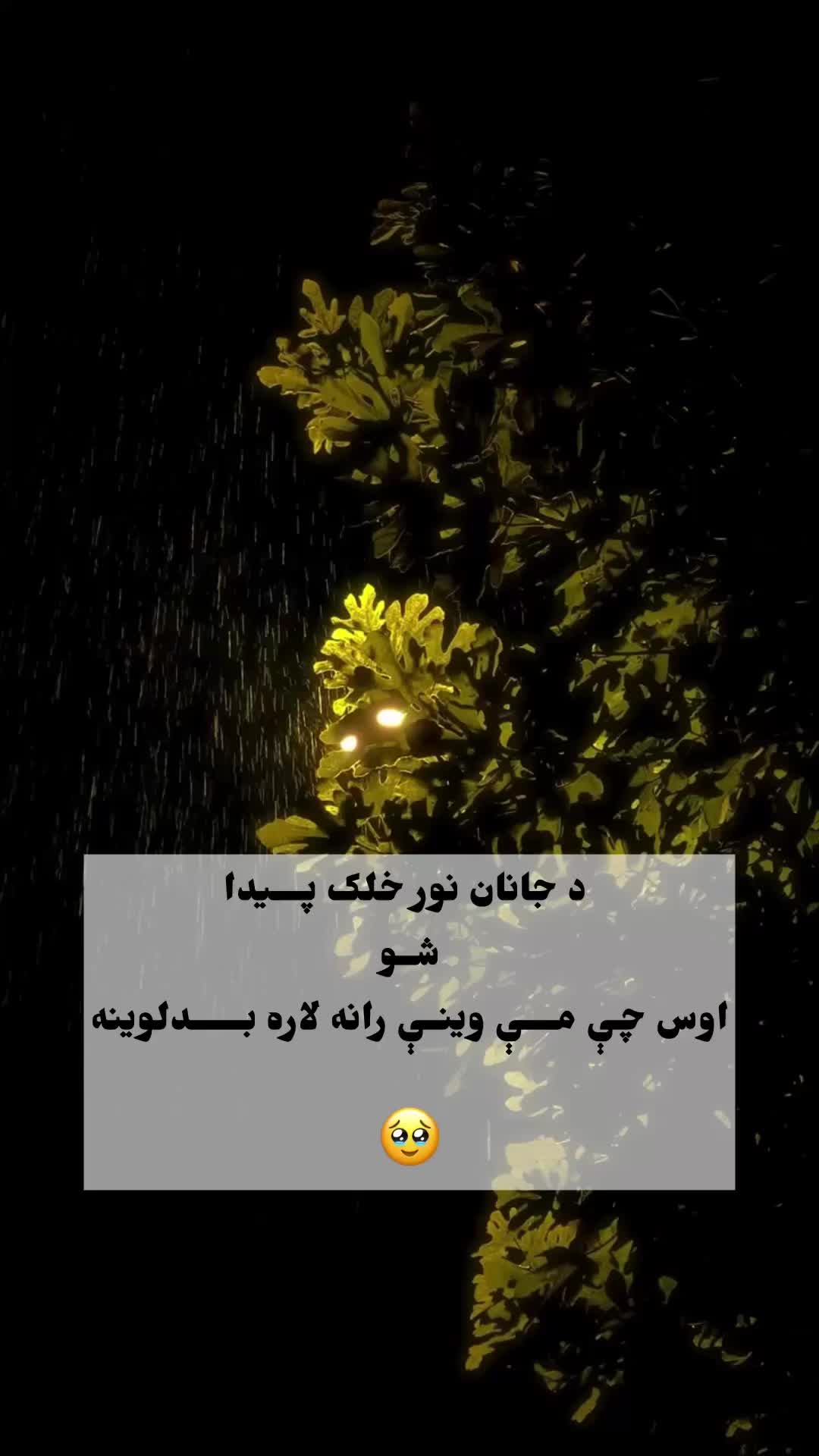@𓈒𓏲ړنـــــ👑⑅⃝ــــګ﮼ 🤍