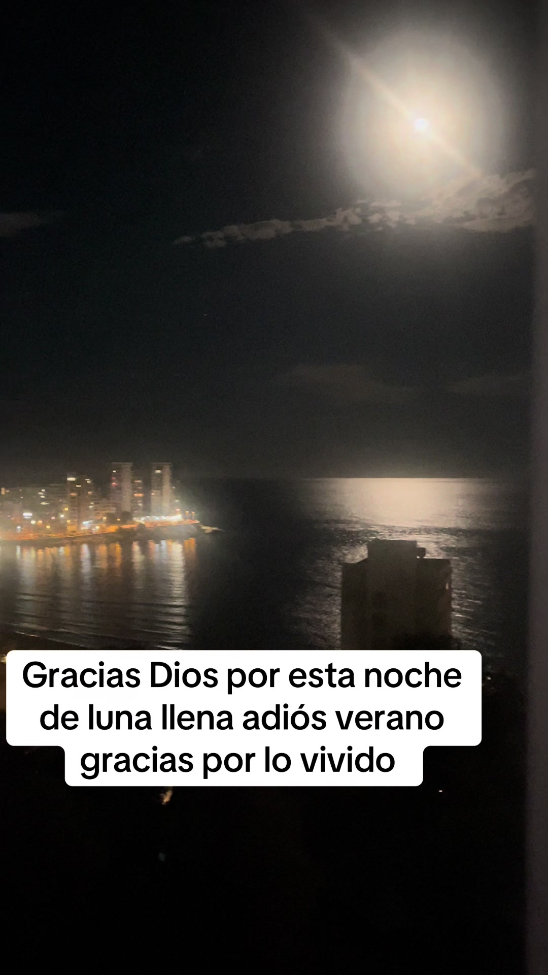 @Carmen Tomás 13