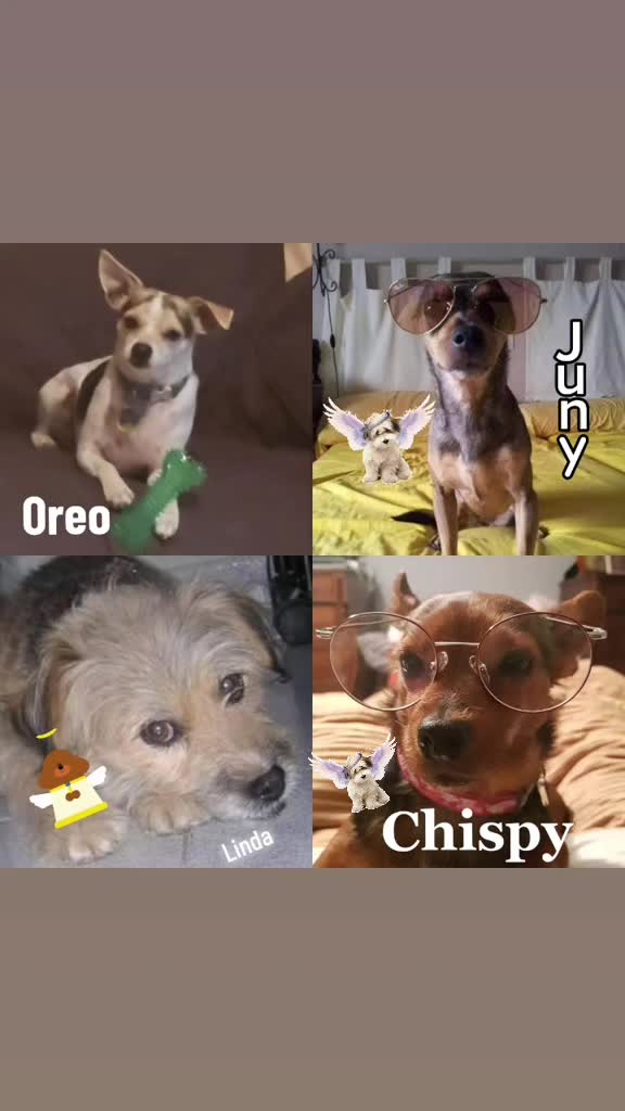@Oreo