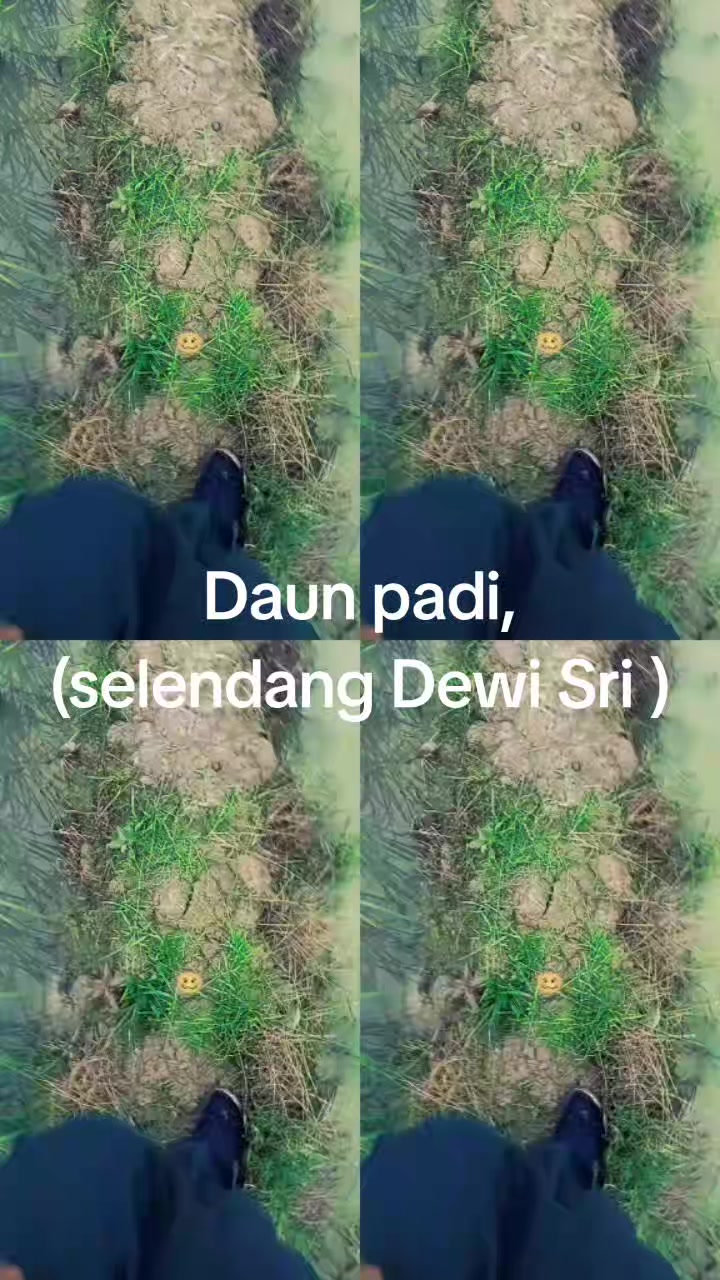@📸Damar_Wulan🪡