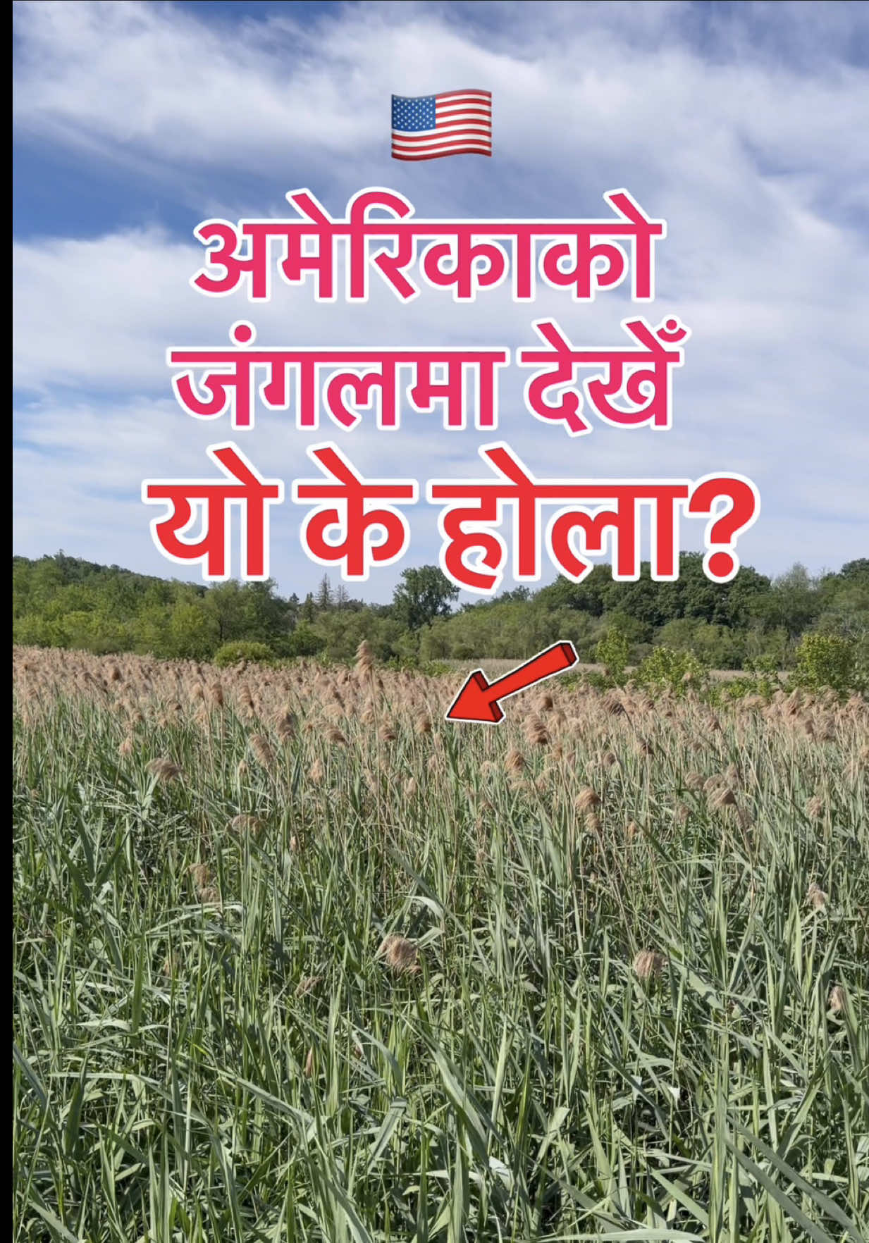 @Kevin Shrestha