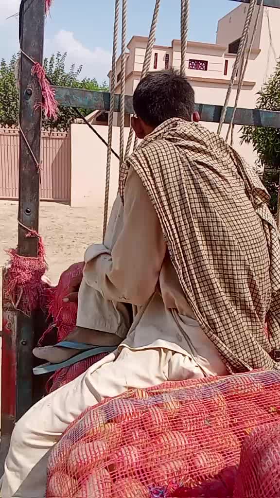 @Shaid saab03166269066