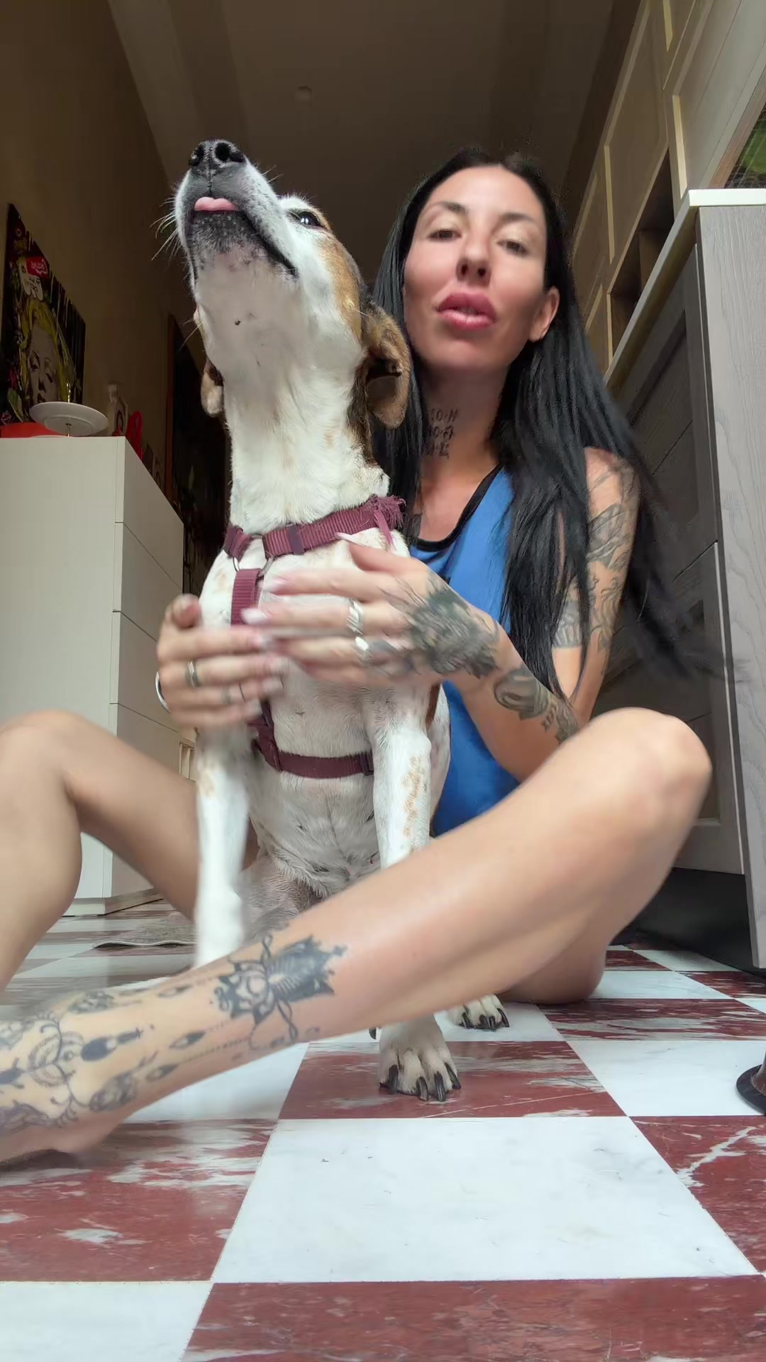 @iamcarolinafox