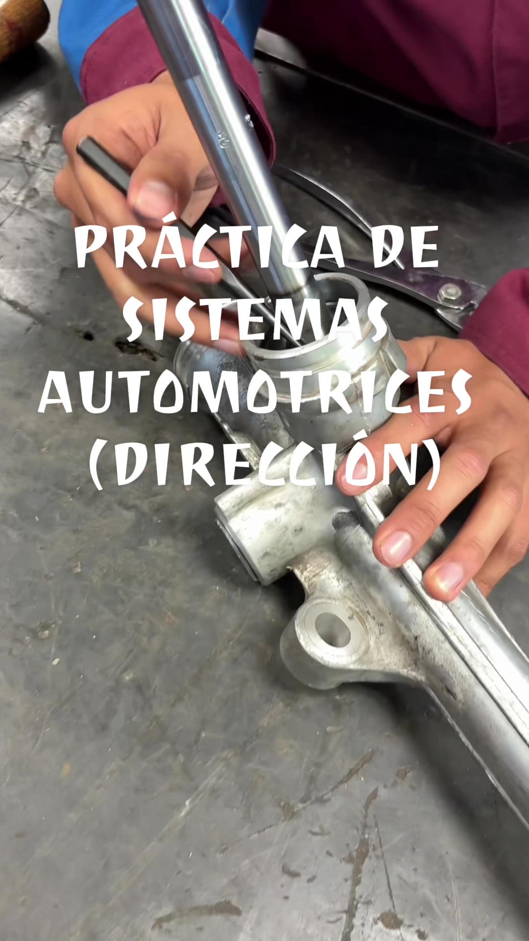 @luisito_solorzano