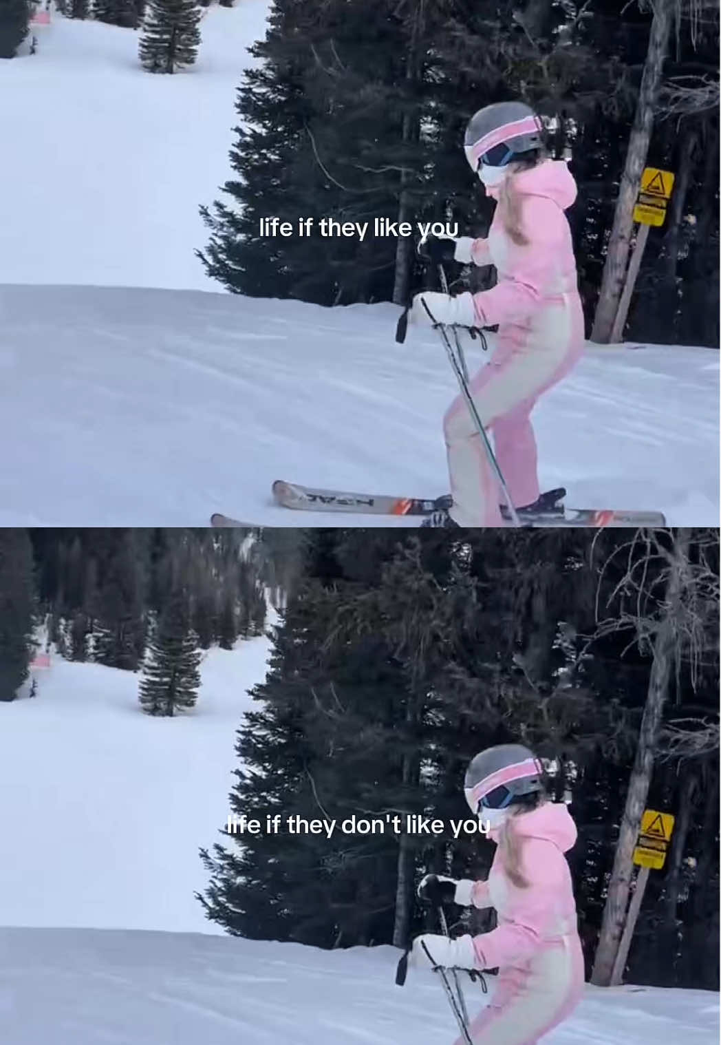@Morgan Johnston