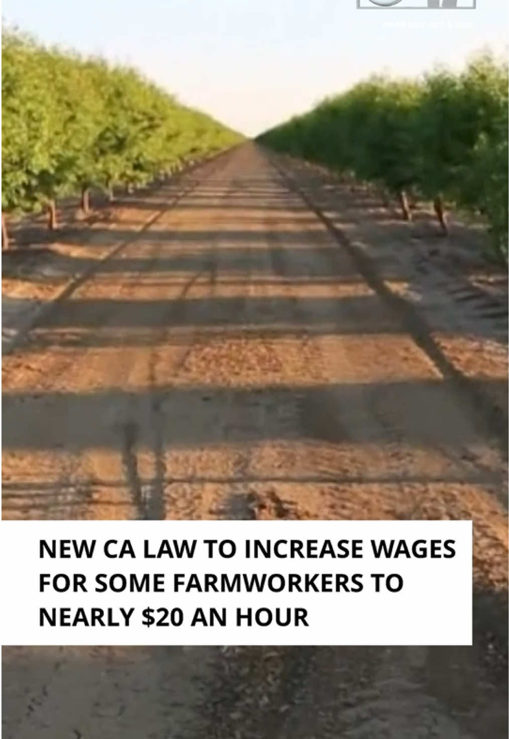 @yourcentralvalley