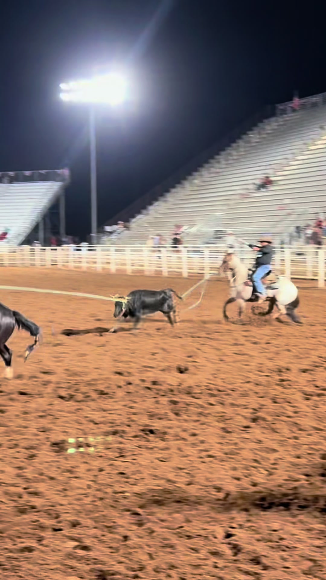 @Cord Forzano Rope Horses