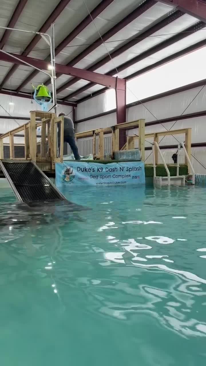 @Dukes K9 Dash n Splash