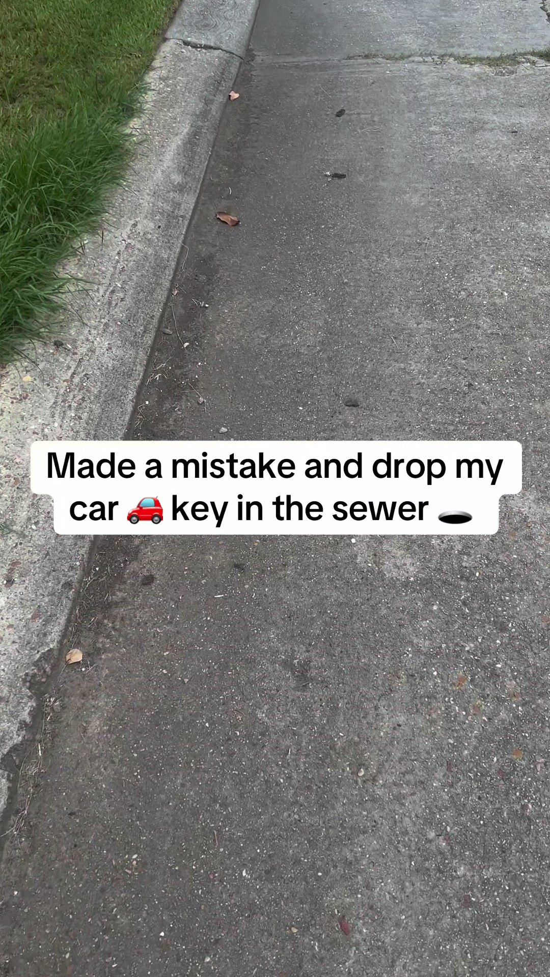 @🌴👑TikTok kynnngvibetv👑🌴
