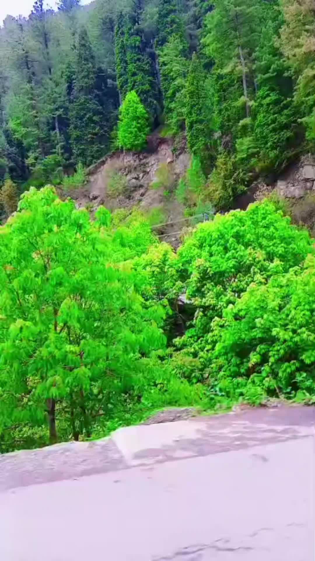 @pagal Foje
