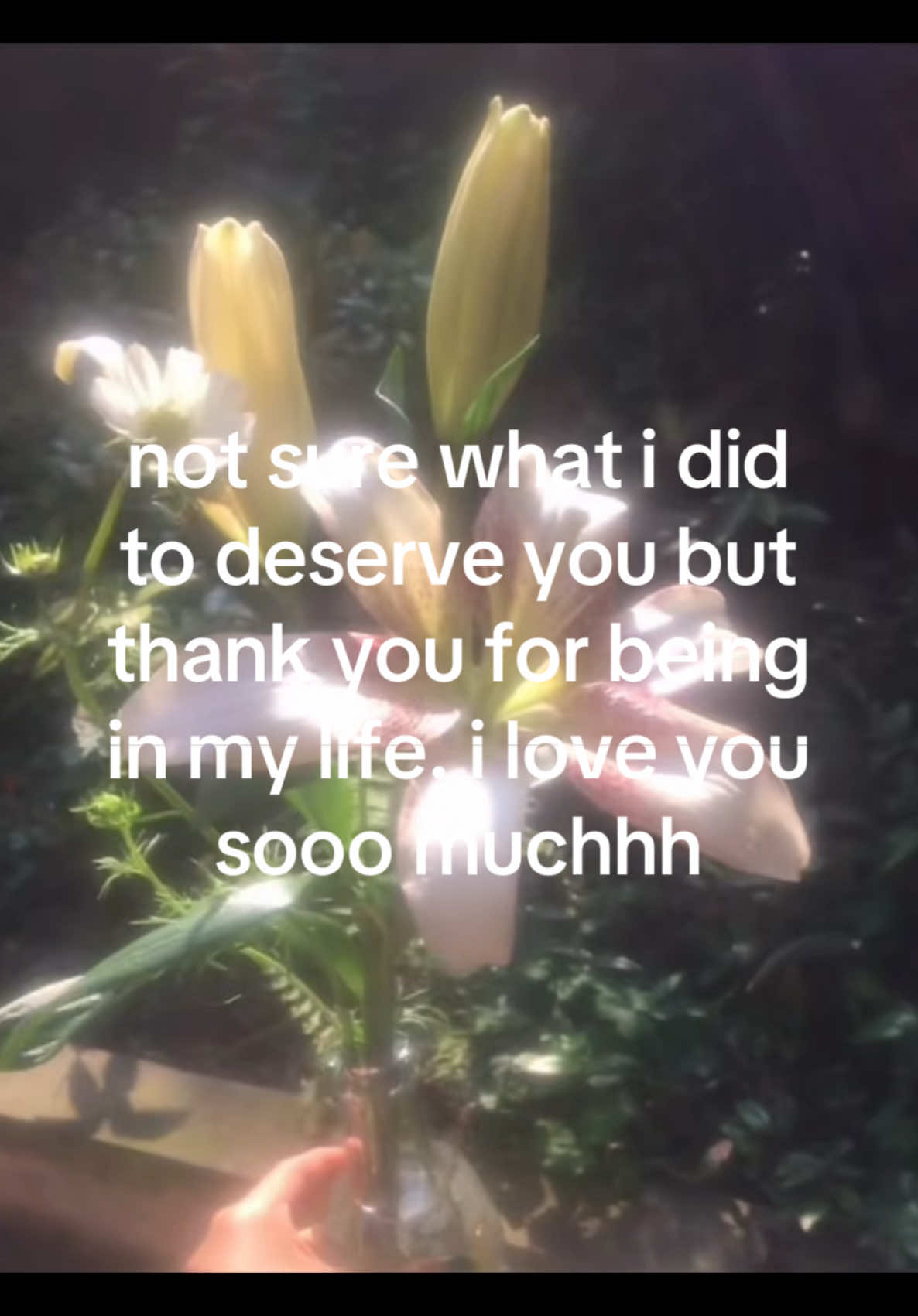 @iseenthisinmydream