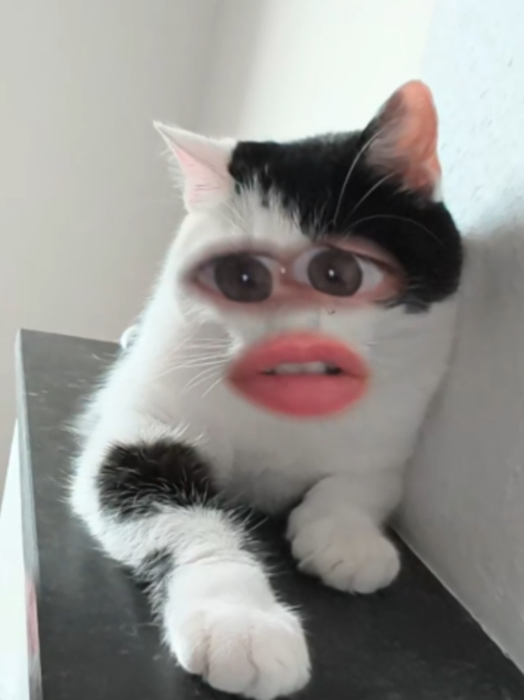 @Aurore