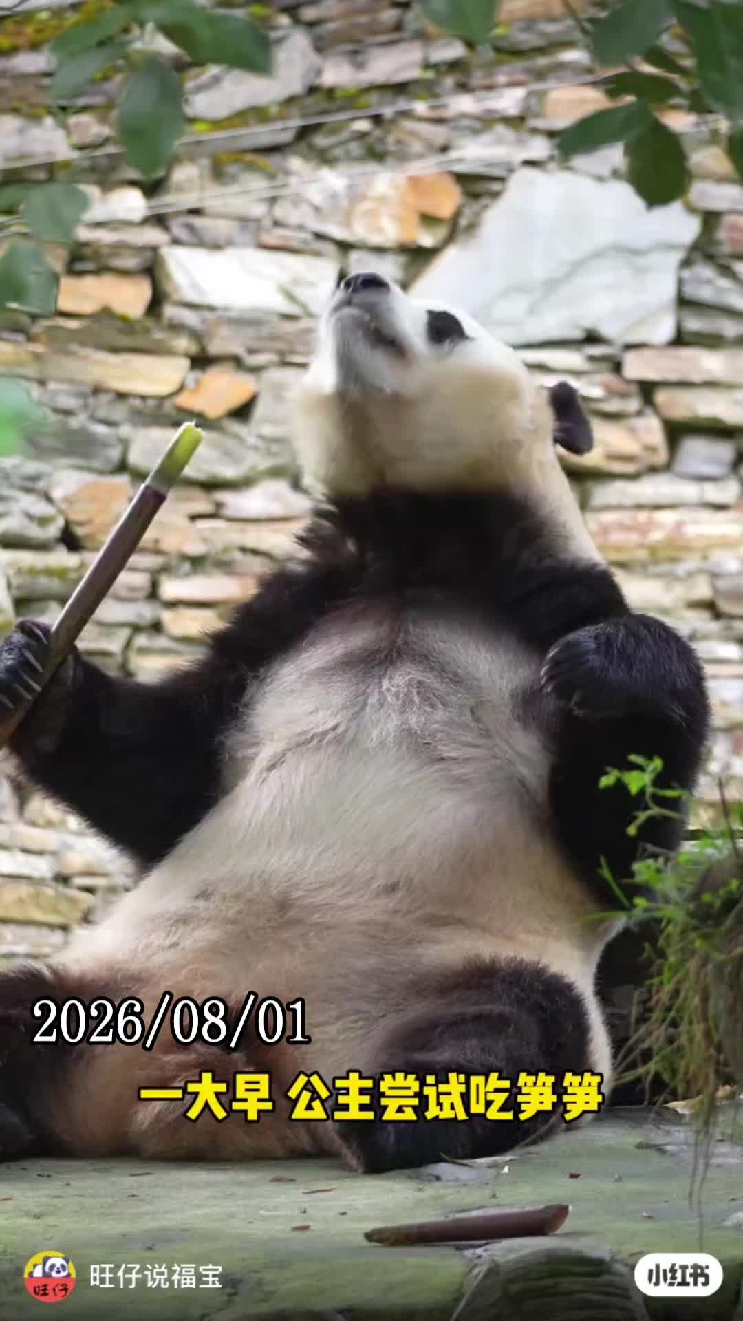 @福寶需要愛的抱抱