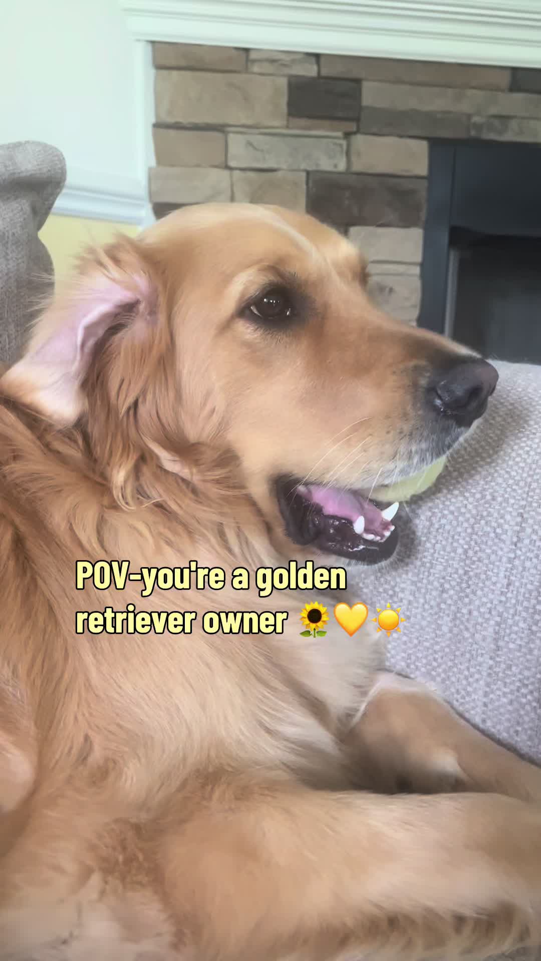 @Winnie the Golden Girly