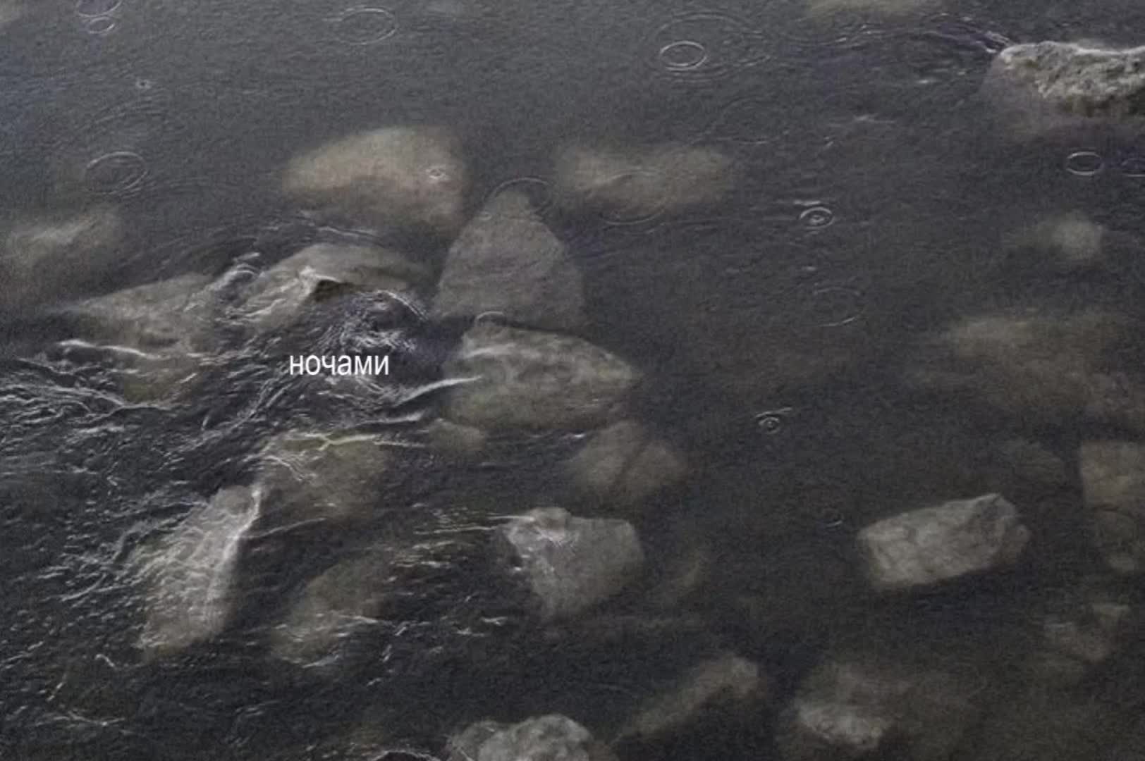 @звуки для липсингов