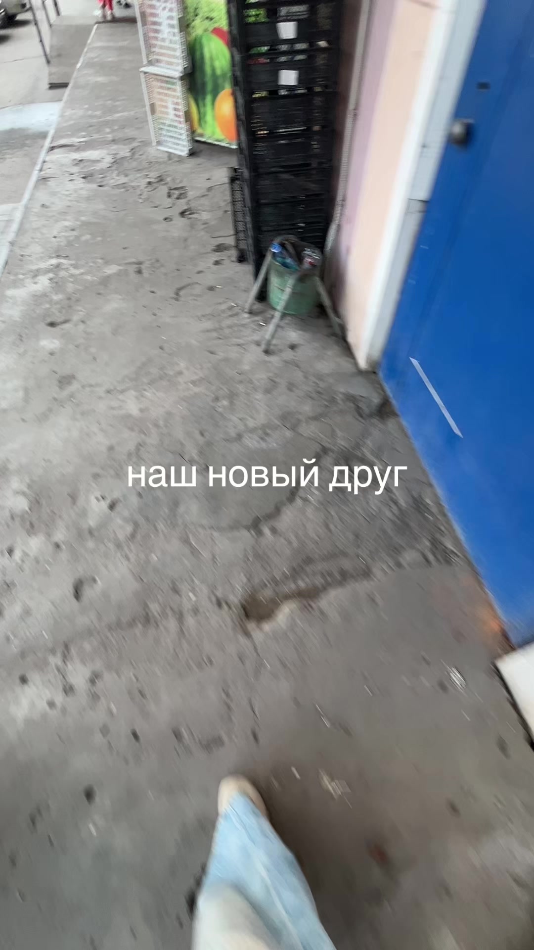 @хх